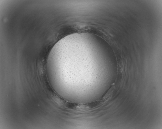 X0000062150515200512231536