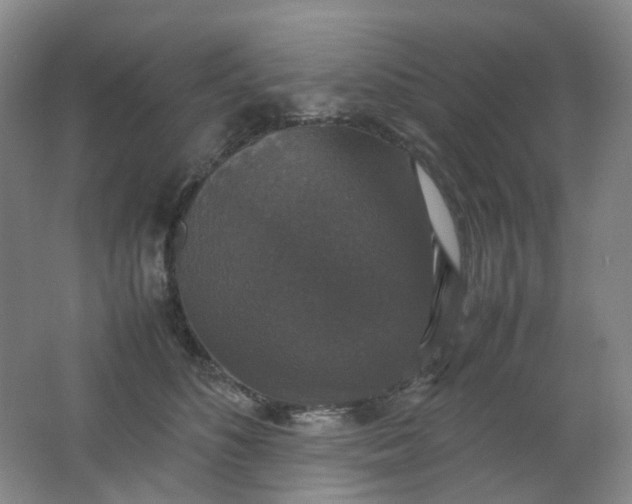 X0000062150516200512231536