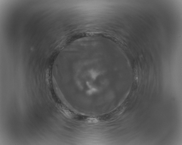 X0000062150519200512231536