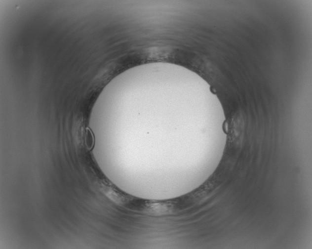 X0000062150522200512231536