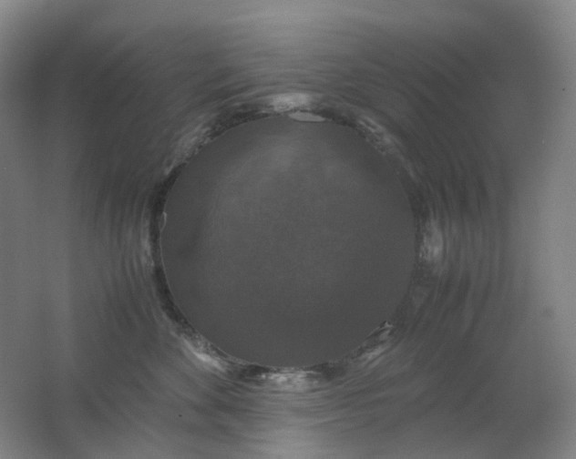 X0000062150524200512231536