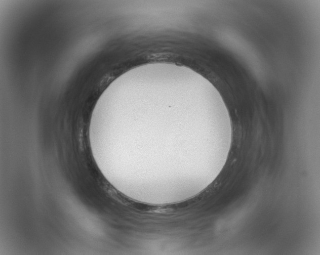 X0000062150525200512231536
