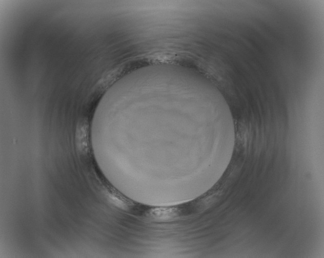X0000062150526200512231535