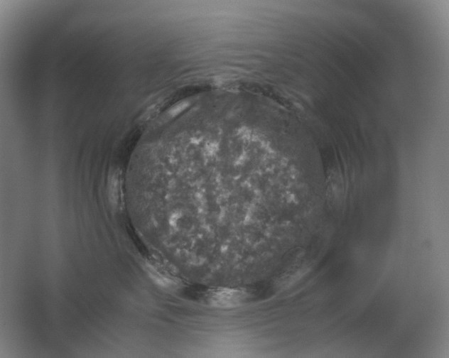 X0000062150527200512231535