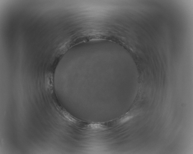 X0000062150528200512231535