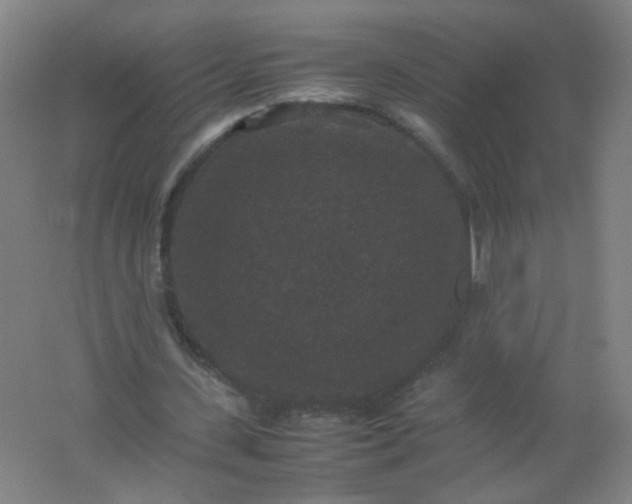X0000062150531200512231535