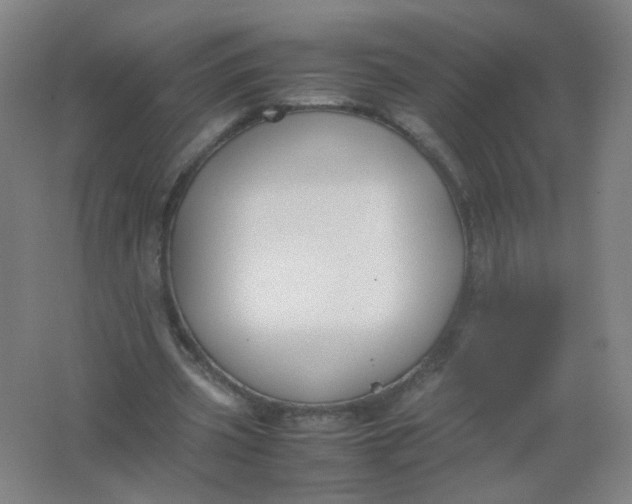 X0000062150533200512231535