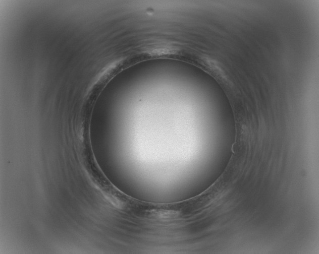 X0000062150539200512231535