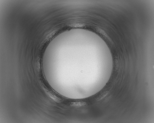 X0000062150541200512231535