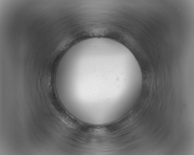 X0000062150548200512231535