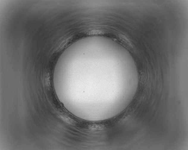 X0000062150549200512231535