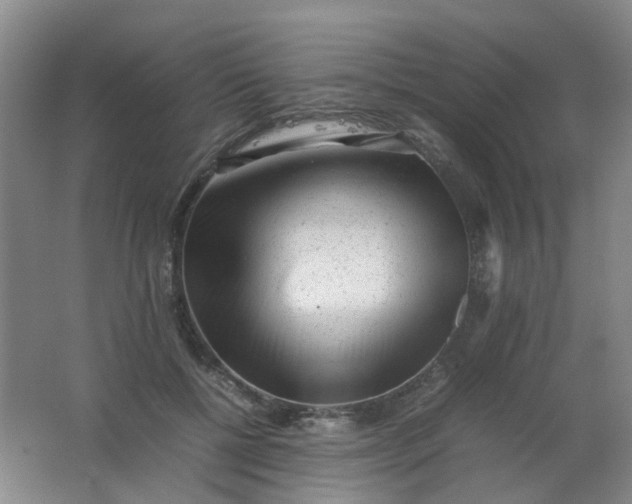 X0000062150552200512231535