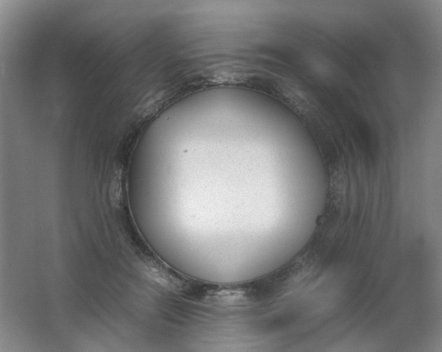 X0000062150554200512231535