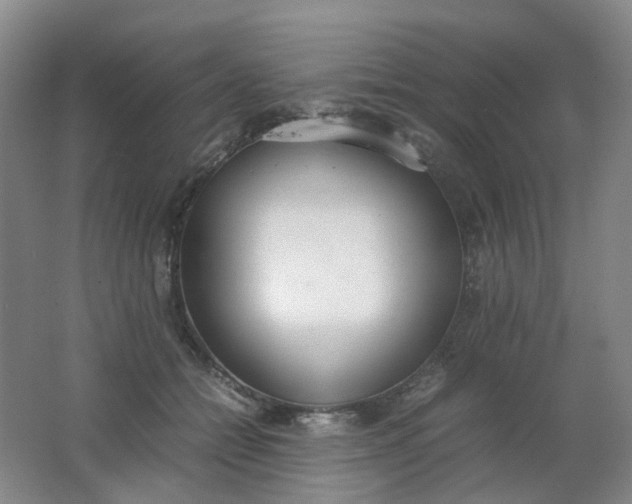 X0000062150558200512231535
