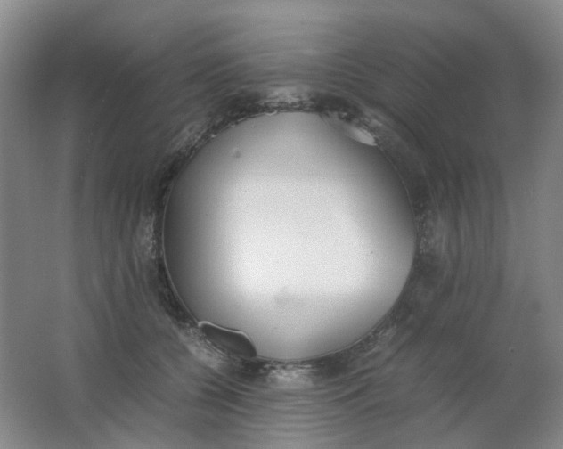 X0000062150560200512231535