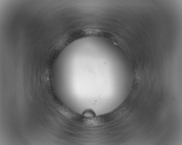 X0000062150567200512231535