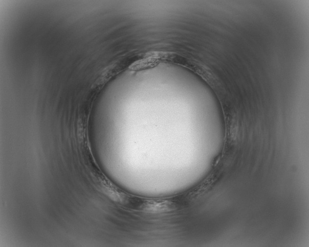 X0000062150569200512231535