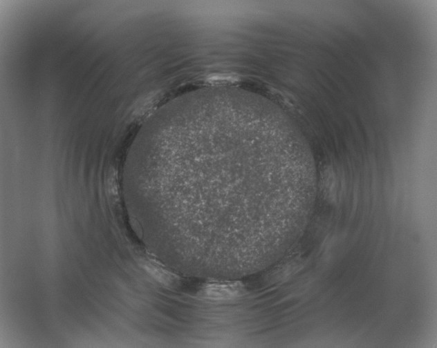 X0000062150571200512231535