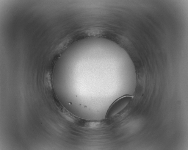 X0000062150575200512231535