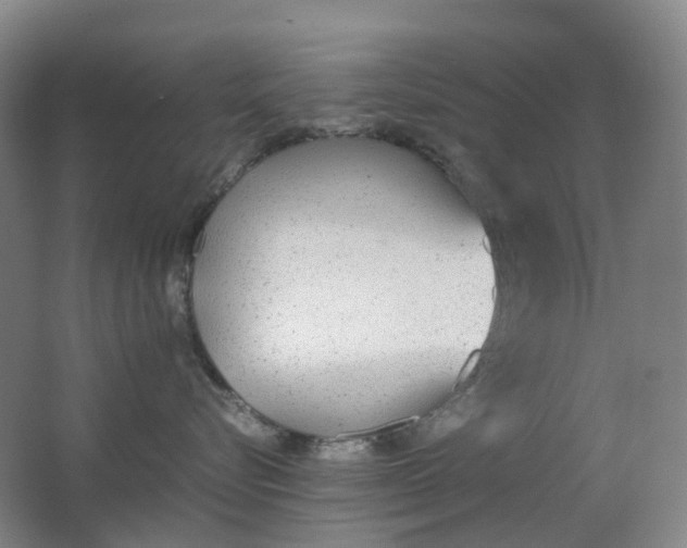 X0000062150576200512231535
