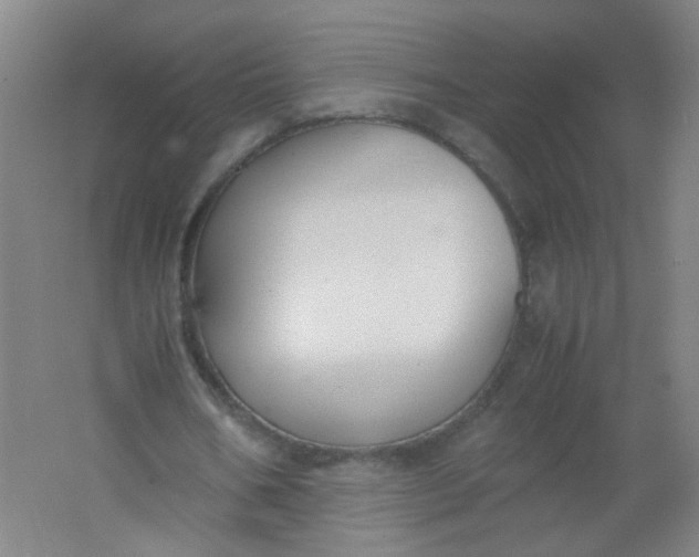 X0000062150578200512231535