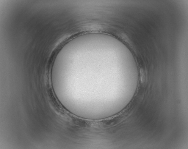 X0000062150579200512231535