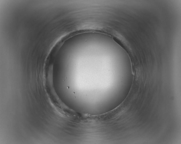 X0000062150580200512231535