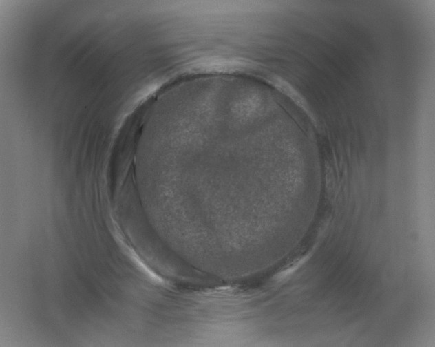 X0000062150581200512231535