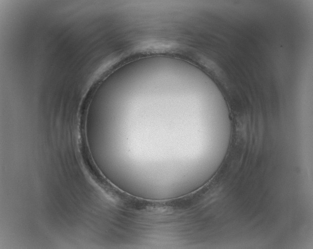 X0000062150582200512231535