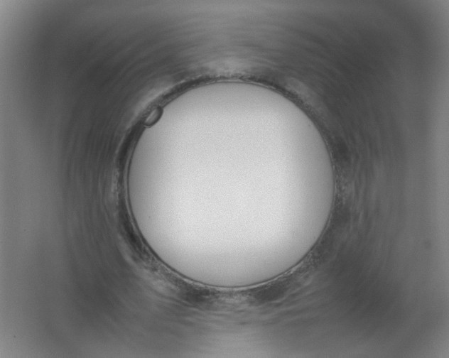 X0000062150583200512231534