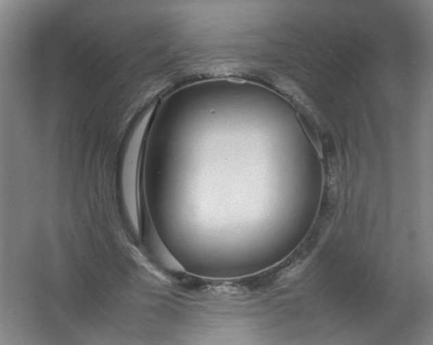 X0000062150585200512231534