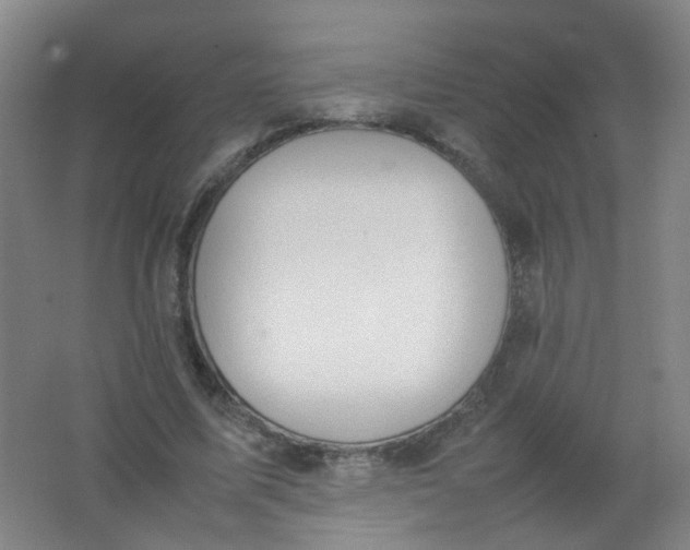 X0000062150587200512231534