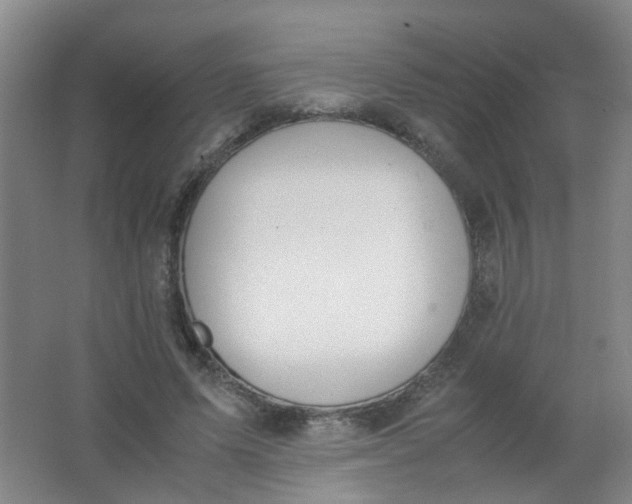 X0000062150591200512231534