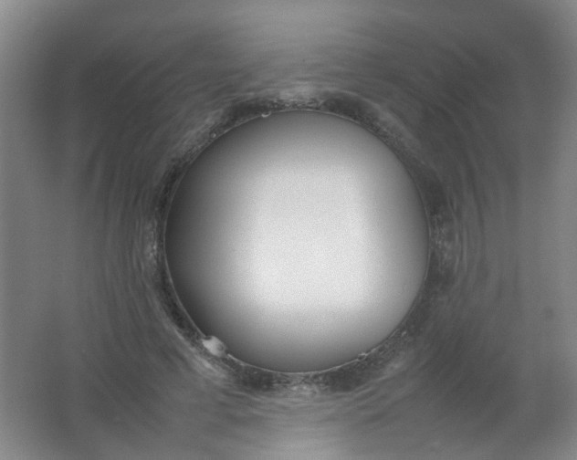 X0000062150593200512231534