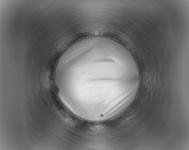 X0000062150594200512231534
