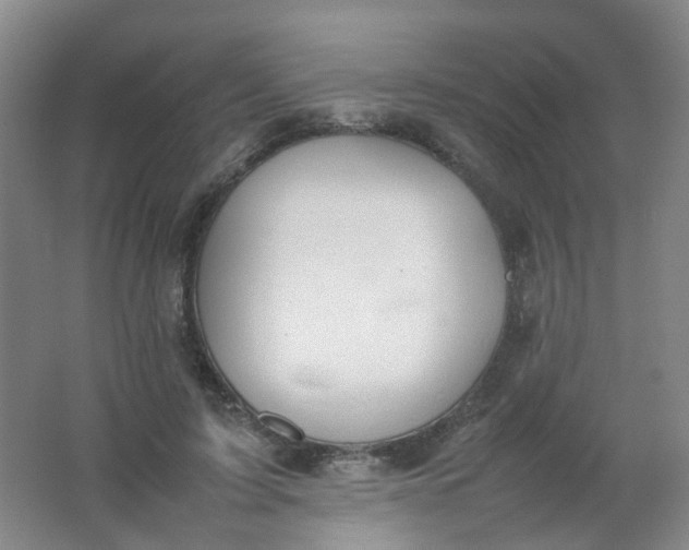 X0000062150595200512231534