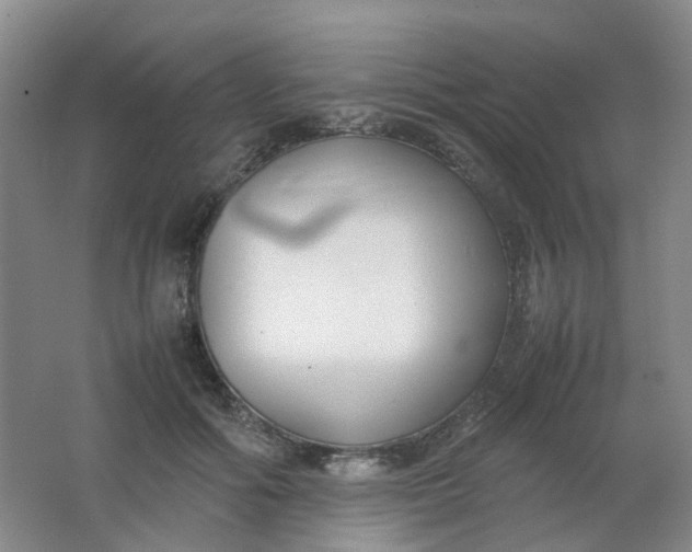 X0000062150602200512231534