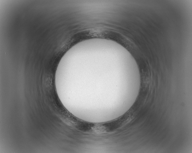 X0000062150603200512231534