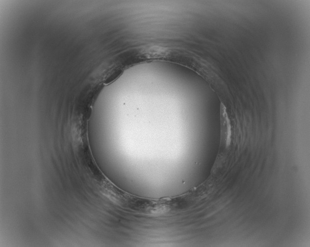 X0000062150604200512231534