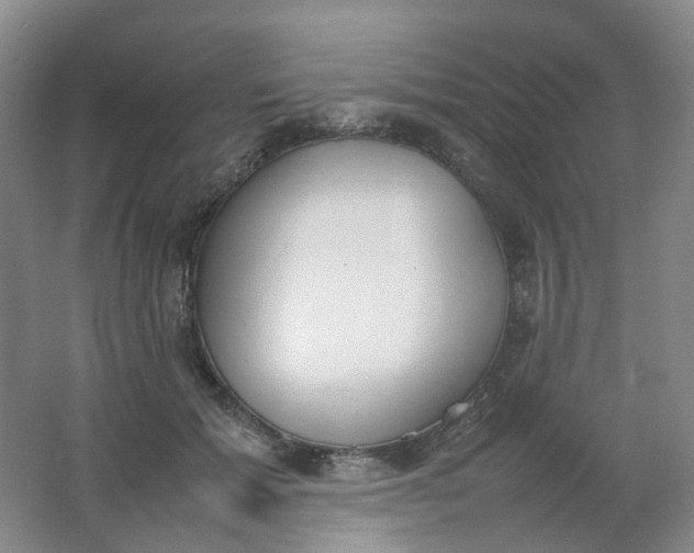 X0000062150605200512231534