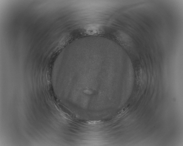 X0000062150606200512231534
