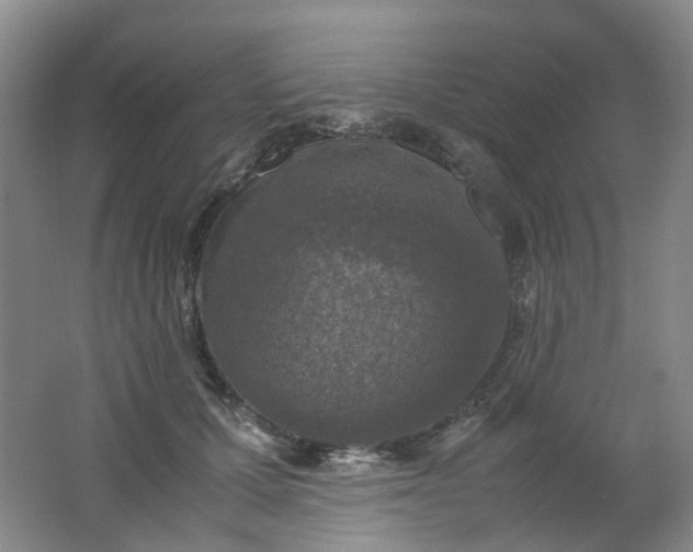 X0000062150607200512231534