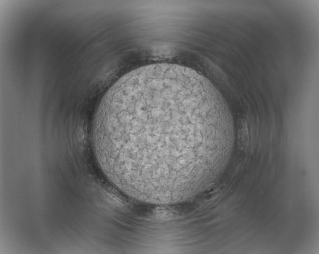 X0000062150608200512231534