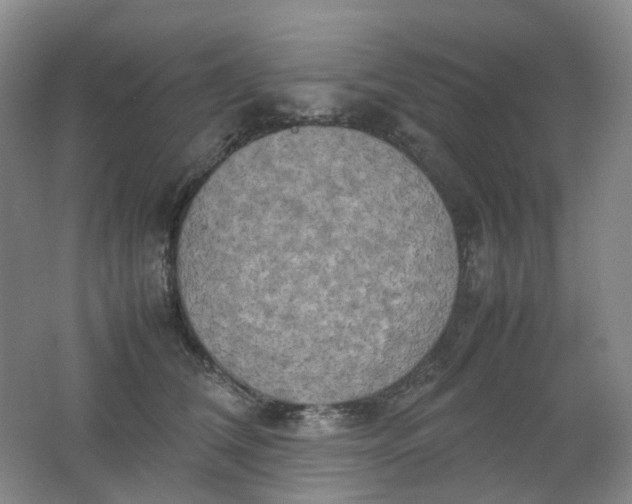 X0000062150612200512231534