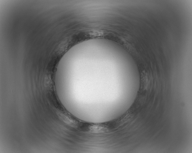 X0000062150614200512231534