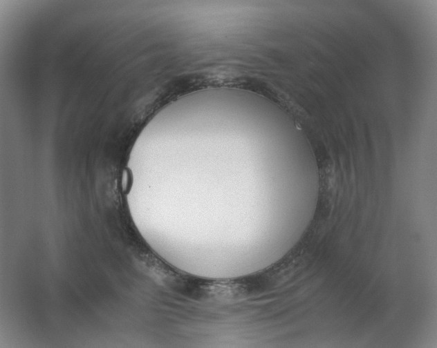 X0000062150615200512231534