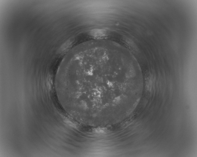 X0000062150618200512231534