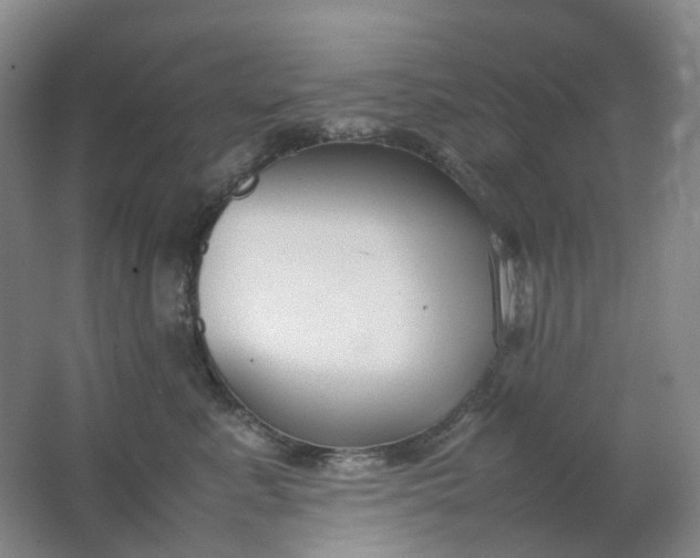 X0000062150619200512231534