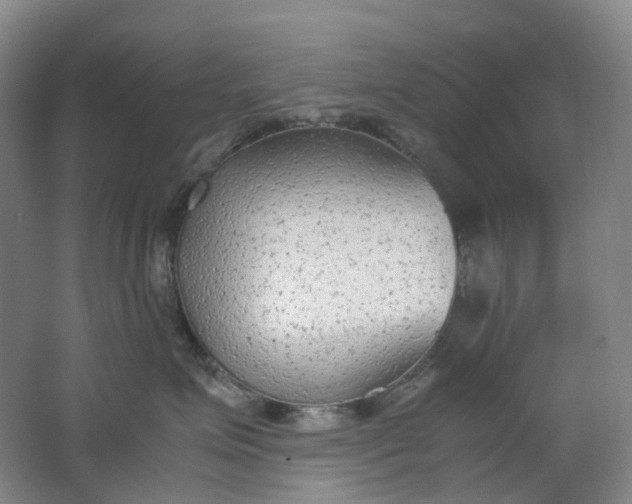 X0000062150623200512231534