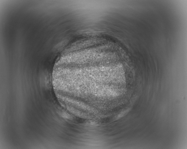 X0000062150624200512231534